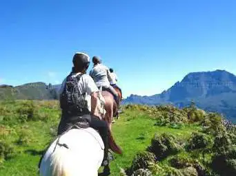 Baptêmes, cours, balades, randonnées La Réunion - Les chevaux du Maïdo
