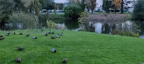 Photo de Parc Verdun