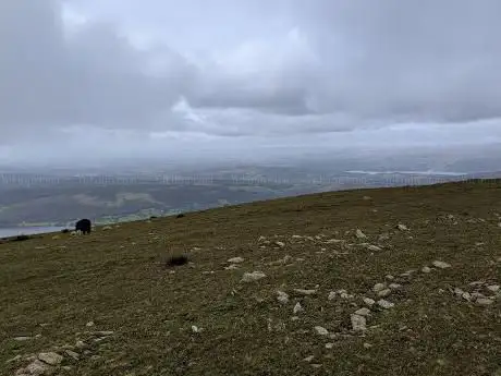 Photo de Brim Fell
