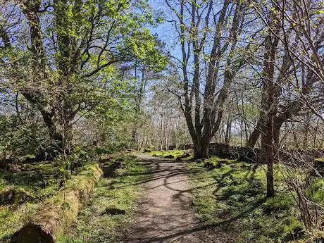 Photo de Uig Woodland Walk