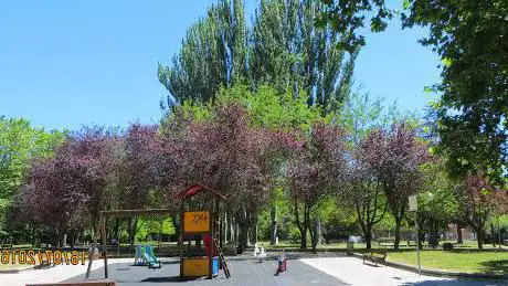 Photo de Gazalbide parkea