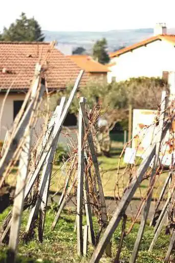 Photo de Le Musée de la Vigne & du Vin