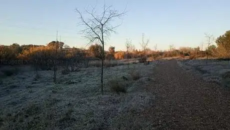 Photo de Corredor Verde del RÃ­o Pudio