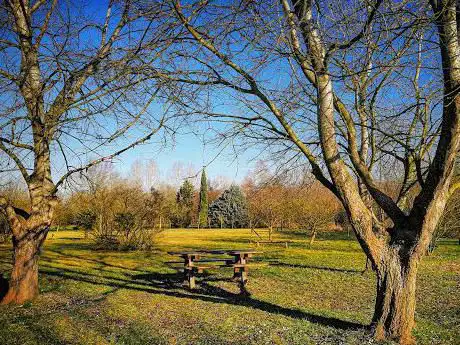 Foresta Della Carpaneta