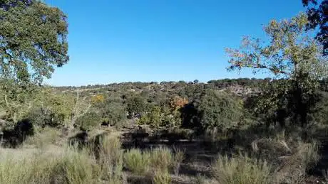 Photo de Reserva Biologica Campanarios de Azaba