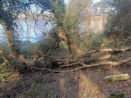 Bosco di Monte Rosso