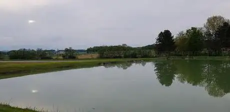 Etang de Falkwiller