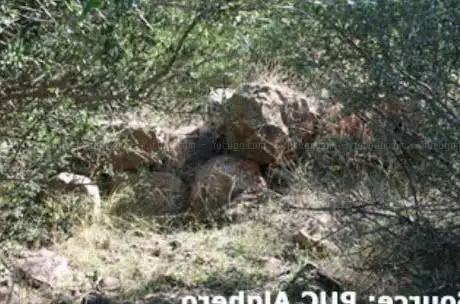 Nuraghe Bullittas