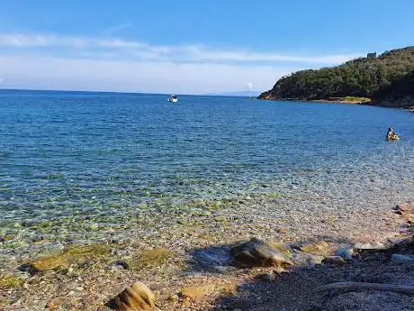 Photo de Spiaggia Cala delle Cannelle