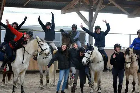 Photo de Haras Des Myosotis - Pension chevaux