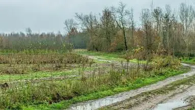 Photo de Hospiesbos