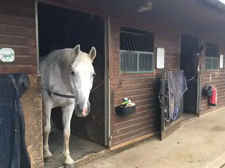 Photo de Hill Top Equestrian - Pitton Hill Farm
