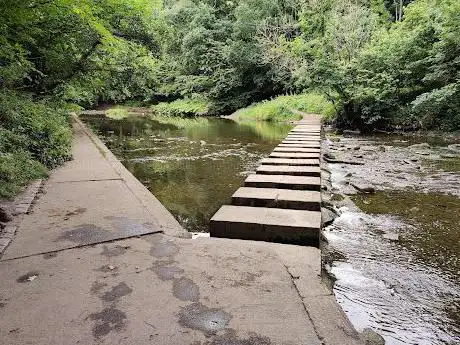 Humford Woods Stepping Stones