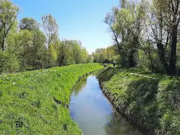 Groendomein Tekbroek