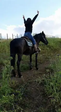 A.S.D Sunflower Ranch