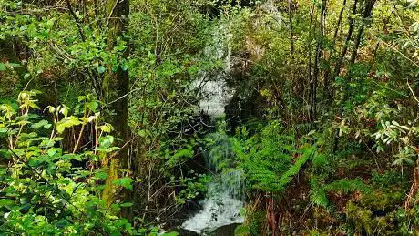 Photo de Fervenza da Galomeira