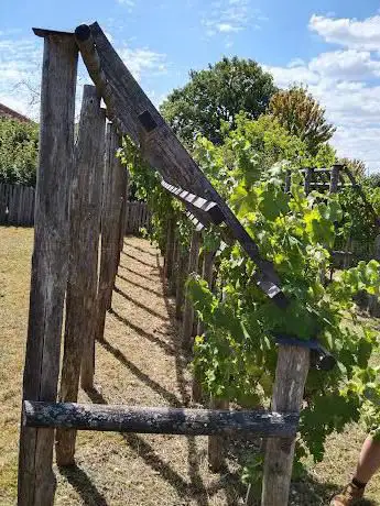 Photo de Jardin Labyrinthe de Vignes