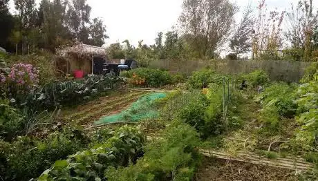Photo de Potager Bruxelles