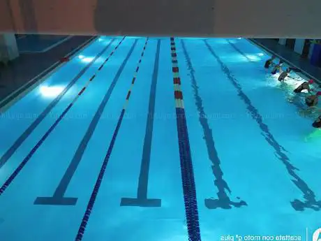 World's Swimming