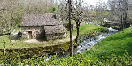 Photo de Les Martinets du Lezert