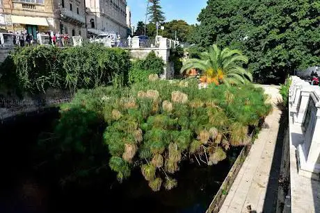 Photo de Castello Maniace Ortigia