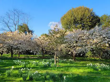 Photo de Harris Garden