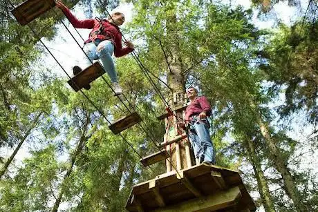 Photo de Go Ape Alice Holt