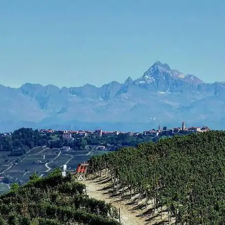 Panchina gigante Rosso Rubino Dolcetto di Diano d'Alba - Big Bench n. 65