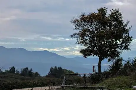 Piano della Civita di Artena