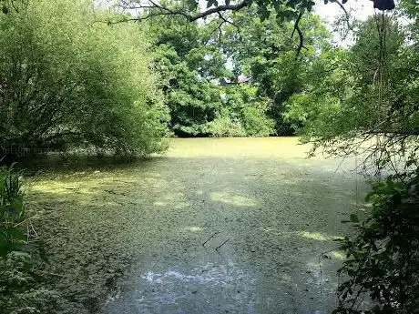 Photo de Church End Pond