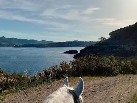 ASD LA BOSANA COSTA DEI GABBIANI