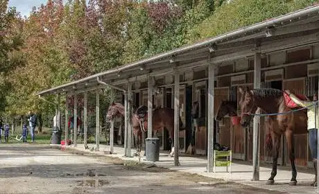 Photo de Club Ippico ASD Planet Horse