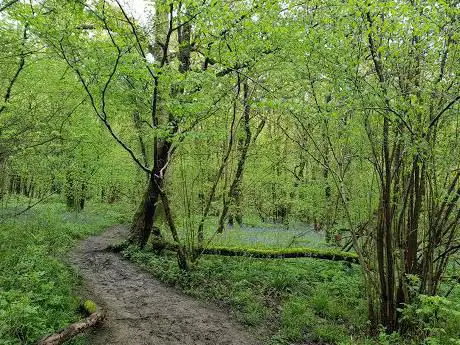 Photo de Aversley Wood
