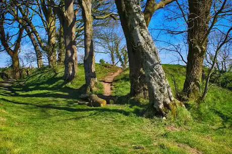 Photo de National Trust - Lisnabreeny