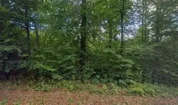 Mirfelderbusch
