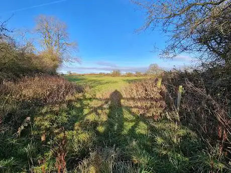Wymondham Rough