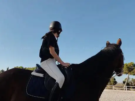 Photo de Riding Dreams Horse Xperience