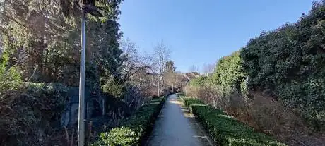 Backyard Park Guillaume Van Laethem and Maquis