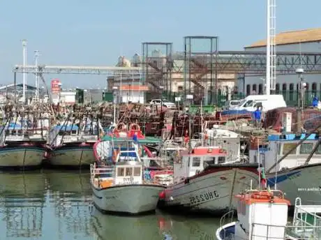 Photo de Islaturismo  Excursiones en barco por Isla Cristina