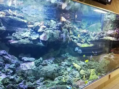 Sea Aquarium Bergen Aan Zee