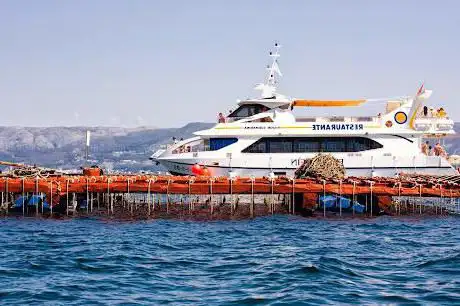 Photo de Cruceros do Ulla