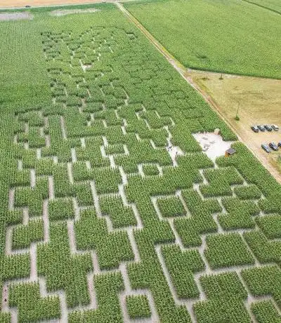 Photo de Pop Corn Labyrinthe ST-VIVIEN - Labyrinthe Géant de Maïs