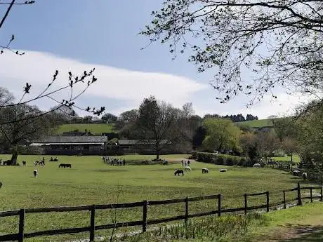 The Miniature Pony Centre