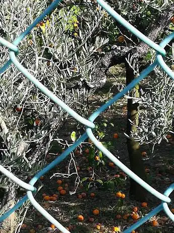 Photo de Campo San Nicola