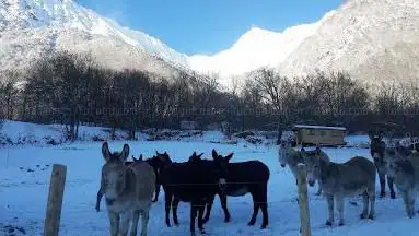 Photo de Lou Pa de l'aze - Rando en âne