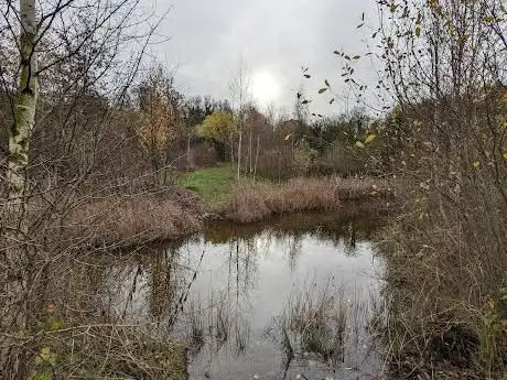 Photo de Wilford Claypit Nature Reserve