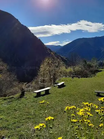 Photo de Picnic BBQ