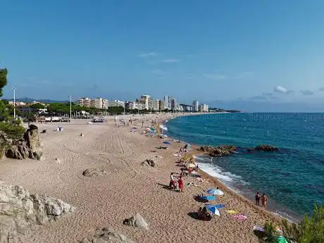 Photo de La Platja Gran