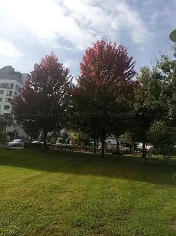 Avenida de Barcelona Park
