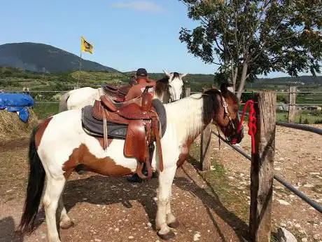 Paradiso Ranch